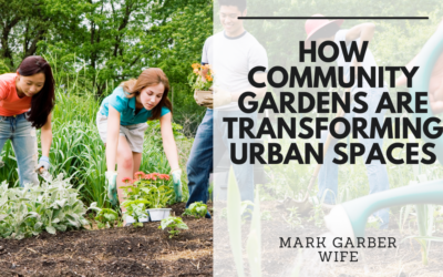 How Community Gardens Are Transforming Urban Spaces
